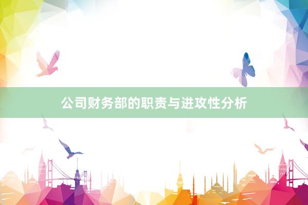 公司财务部的职责与进攻性分析